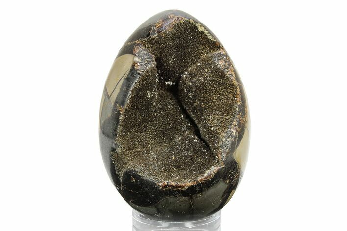 Septarian Dragon Egg Geode #253558
